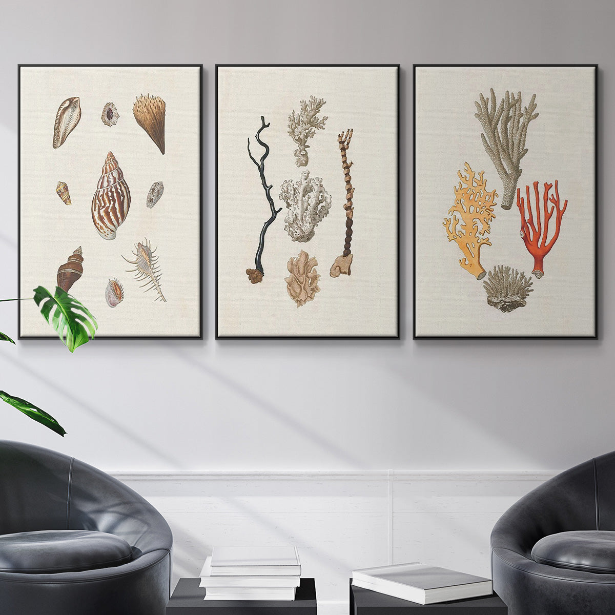 Knorr Shells & Coral IV - Framed Premium Gallery Wrapped Canvas L Frame 3 Piece Set - Ready to Hang