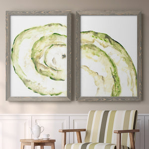 Lichen Halo V - Barnwood Framed Canvas Set