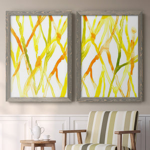 Runnel III - Barnwood Framed Canvas Set