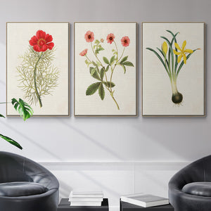 Flowers of the Seasons VI - Framed Premium Gallery Wrapped Canvas L Frame 3 Piece Set - Ready to Hang