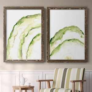 Lichen Halo I - Barnwood Framed Canvas Set