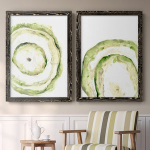 Lichen Halo III - Barnwood Framed Canvas Set