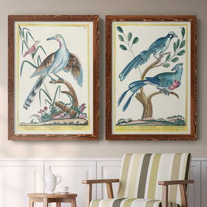 Pastel Birds V - Barnwood Framed Canvas Set