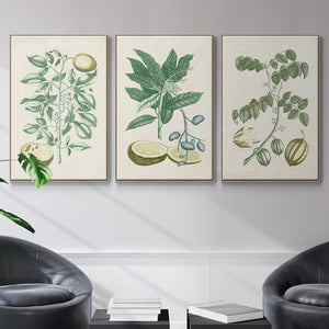 Buchoz Tropicals II - Framed Premium Gallery Wrapped Canvas L Frame 3 Piece Set - Ready to Hang