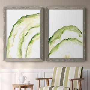 Lichen Halo I - Barnwood Framed Canvas Set