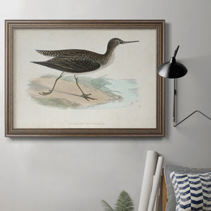 Morris Sandpipers VII Premium Framed Canvas- Ready to Hang