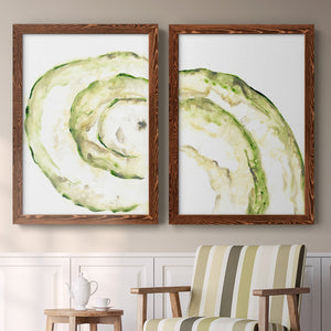 Lichen Halo V - Barnwood Framed Canvas Set