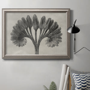 Blossfeldt Botanical VIII Premium Framed Canvas- Ready to Hang