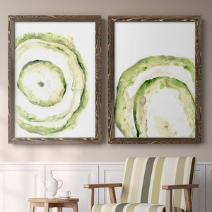 Lichen Halo III - Barnwood Framed Canvas Set