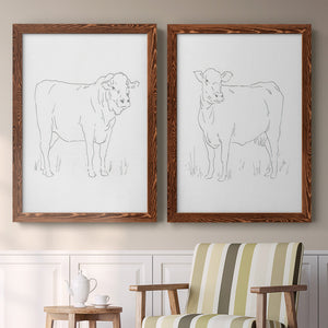 Limousin Cattle I - Barnwood Framed Canvas Set