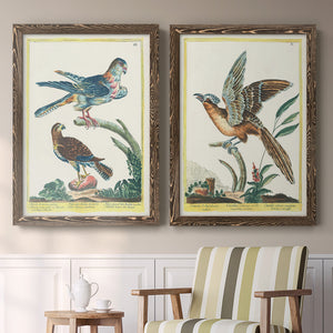 Pastel Birds III - Premium Framed Canvas 2 Piece Set - Ready to Hang