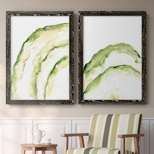 Lichen Halo I - Barnwood Framed Canvas Set