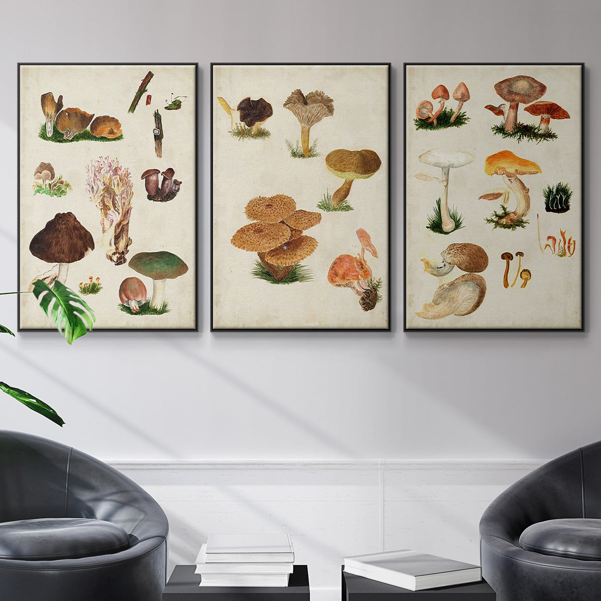 Mushroom Species I - Framed Premium Gallery Wrapped Canvas L Frame 3 Piece Set - Ready to Hang