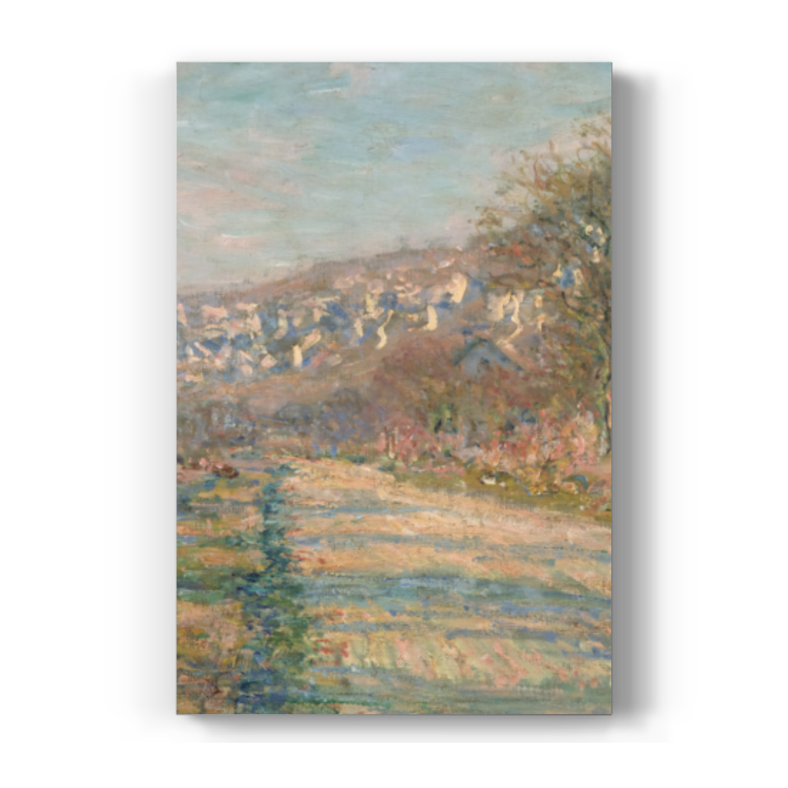 Custom Canvas