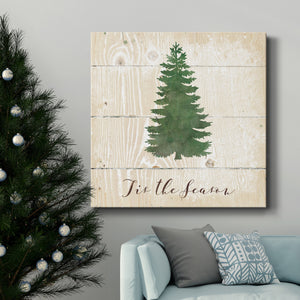 Tis the Season Pine-Premium Gallery Wrapped Canvas - Ready to Hang
