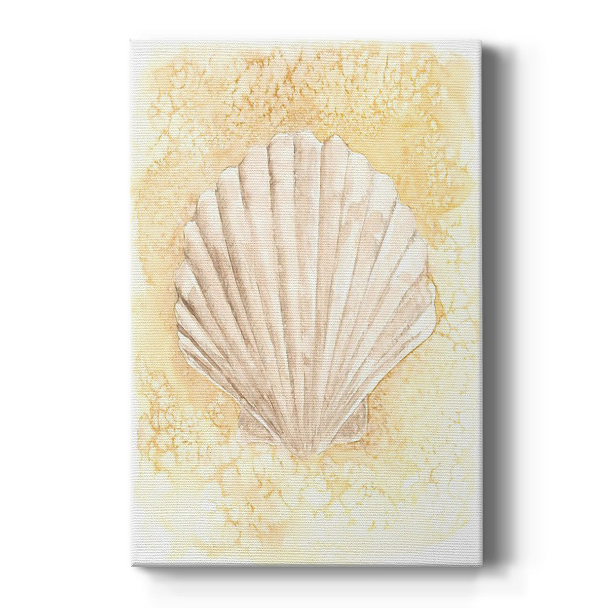 Salty Seashell II Premium Gallery Wrapped Canvas - Ready to Hang