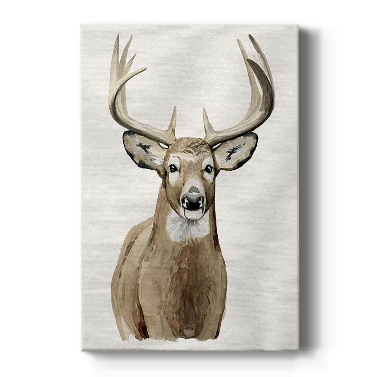 Handsome Whitetail II Premium Gallery Wrapped Canvas - Ready to Hang