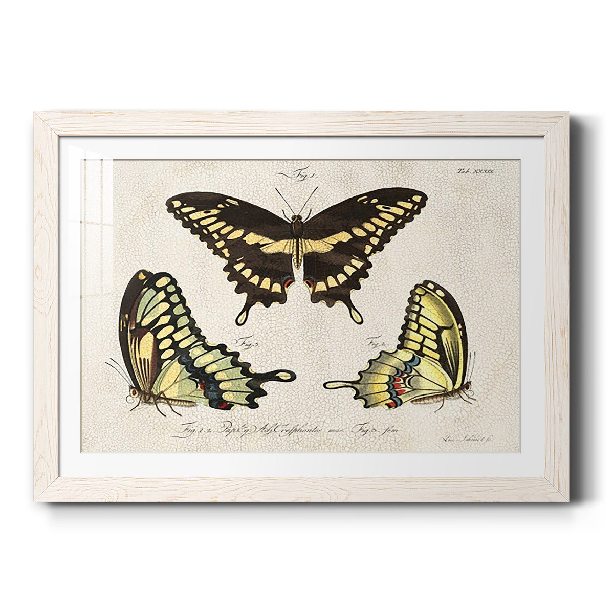 Celebrate-Premium Framed Print - Ready to Hang
