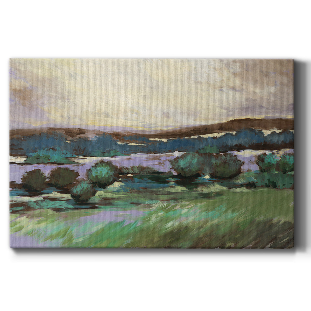 Sunny Desert Floor Premium Gallery Wrapped Canvas - Ready to Hang