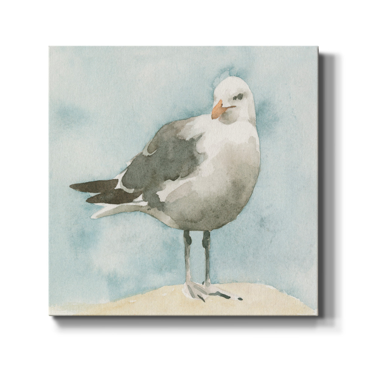 Simple Seagull I - Canvas Art Print