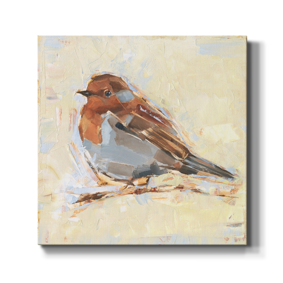 Bird Variety I - Canvas Art Print