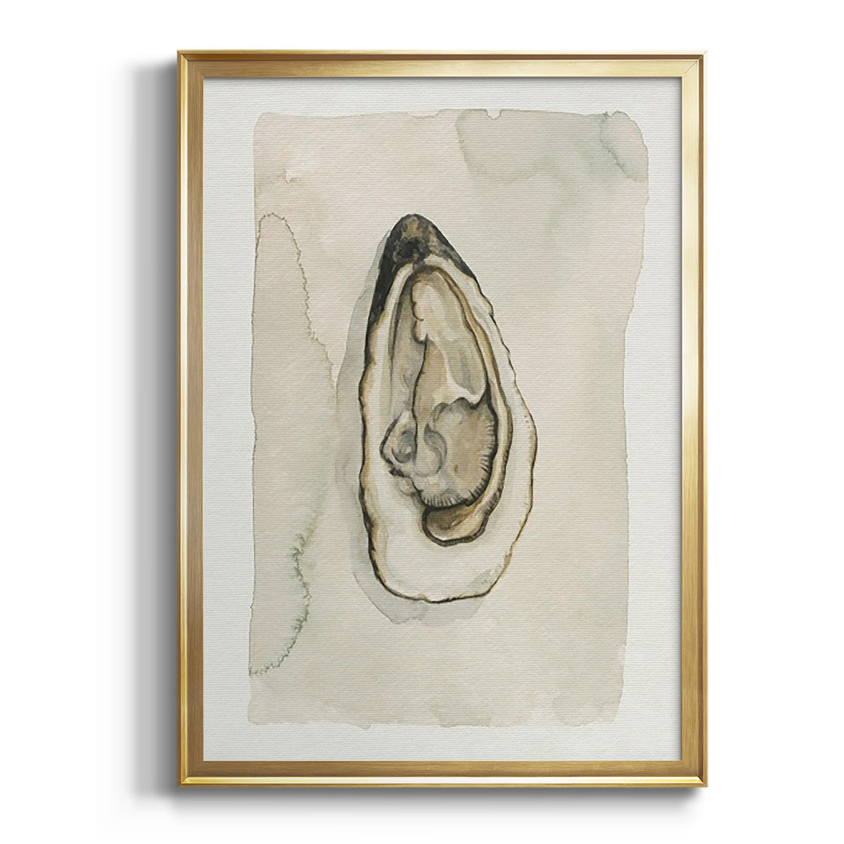 Soft Half Shell I - Modern Framed Canvas Print
