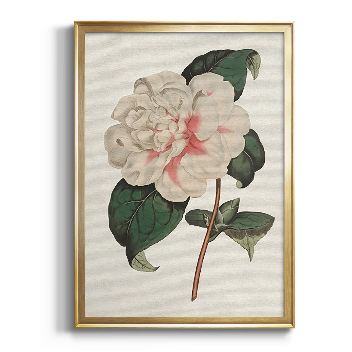 Sepia Botanical Journal I - Modern Framed Canvas Print