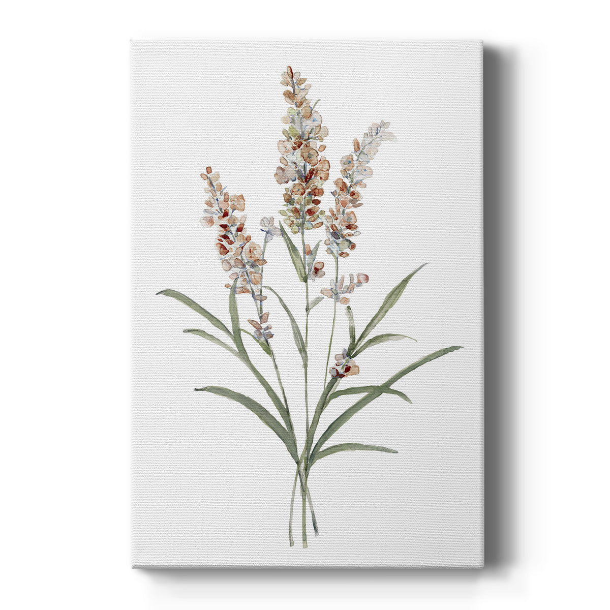 Dainty Botanical I Premium Gallery Wrapped Canvas - Ready to Hang