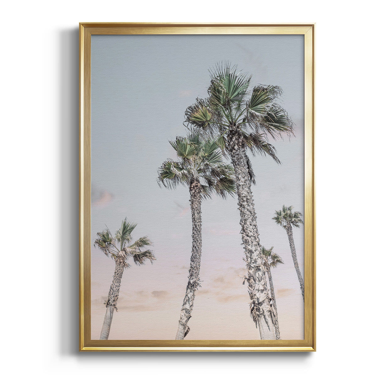 Soft Half Shell I - Modern Framed Canvas Print