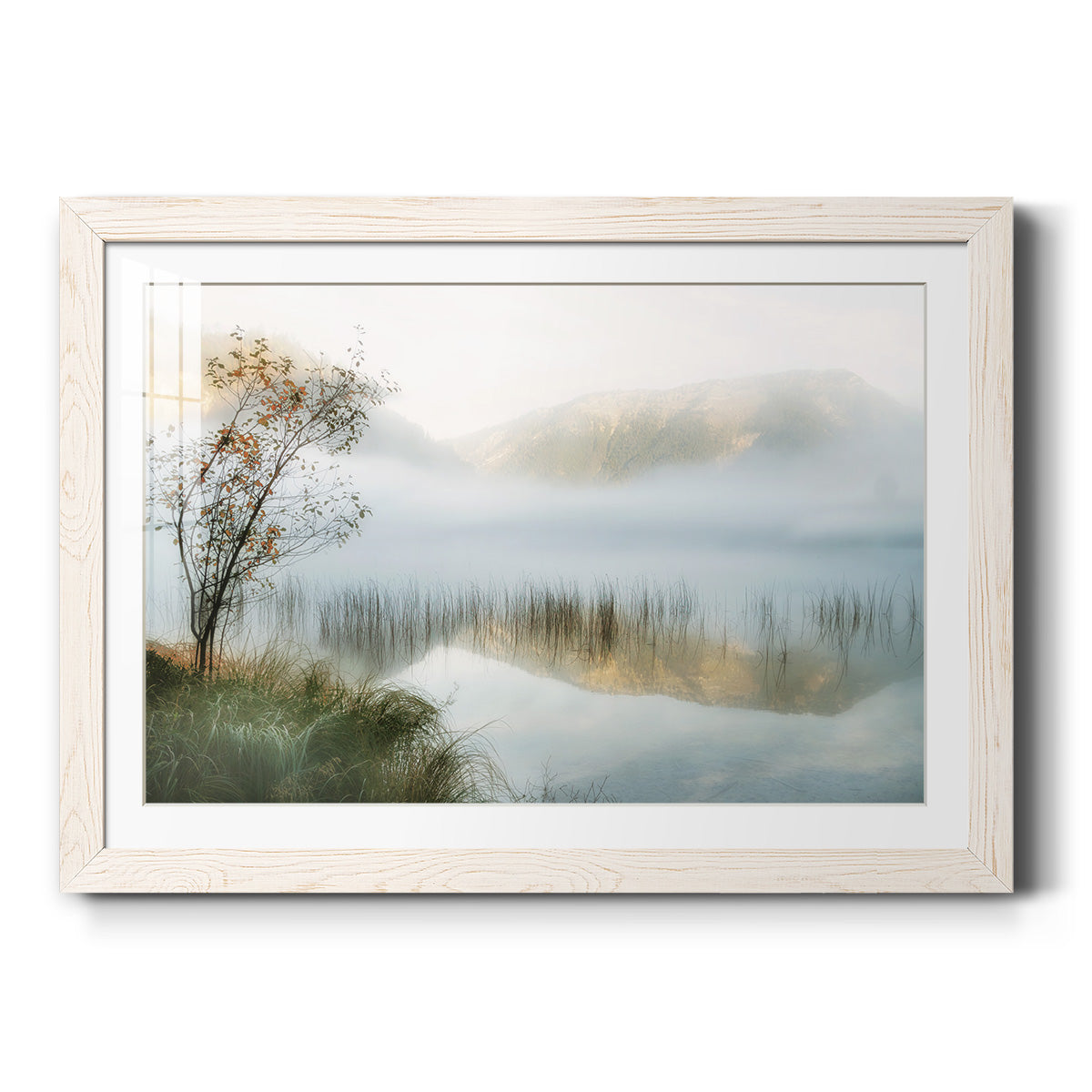 Celebrate-Premium Framed Print - Ready to Hang