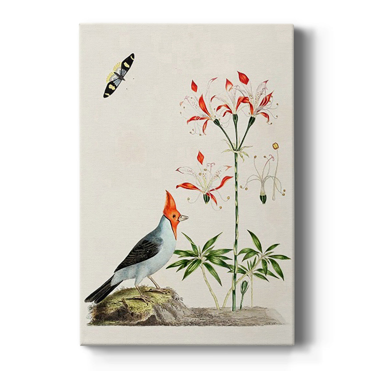 Bird in Habitat I Premium Gallery Wrapped Canvas - Ready to Hang