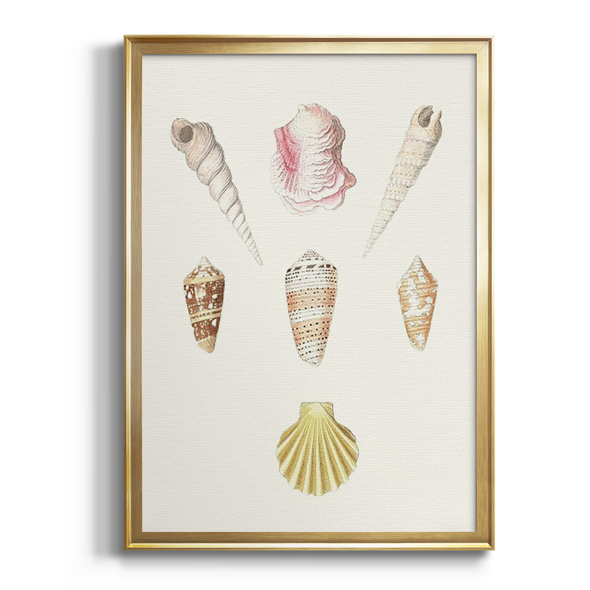 Pastel Knorr Shells I Premium Framed Print - Ready to Hang