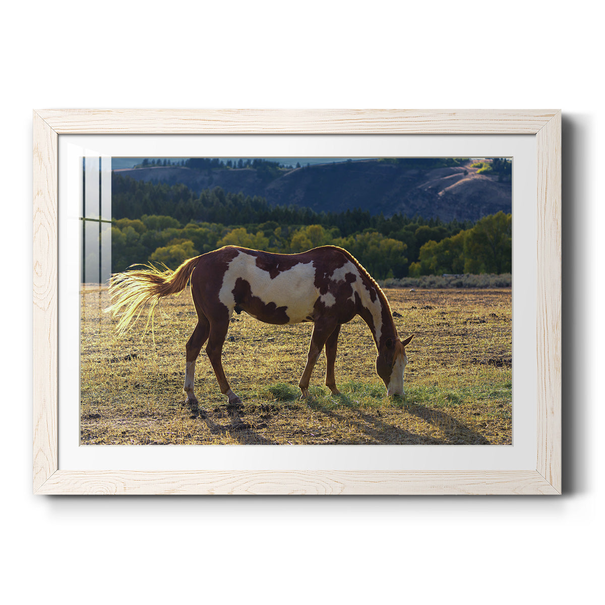 Celebrate-Premium Framed Print - Ready to Hang