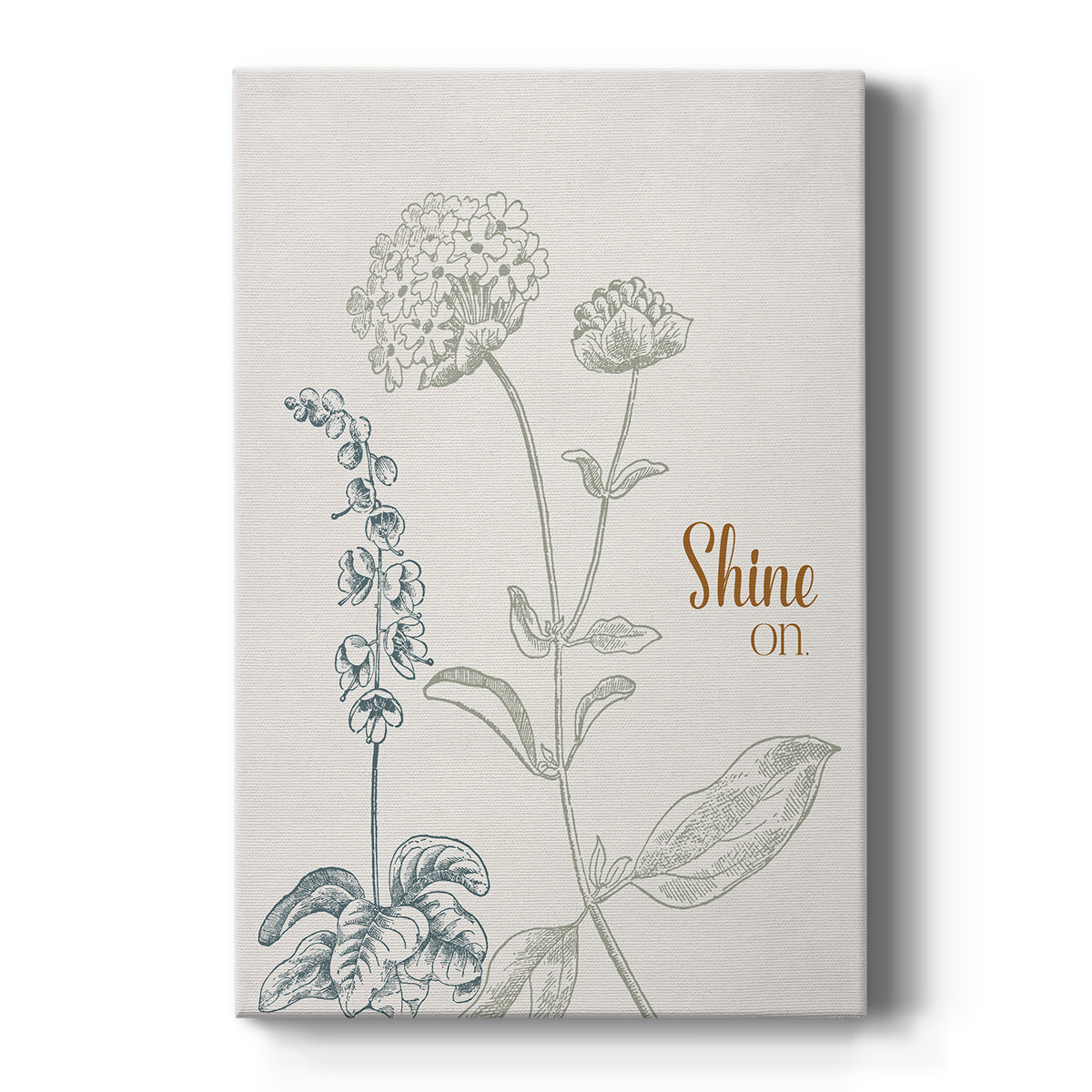 Shine On - Canvas Art Print