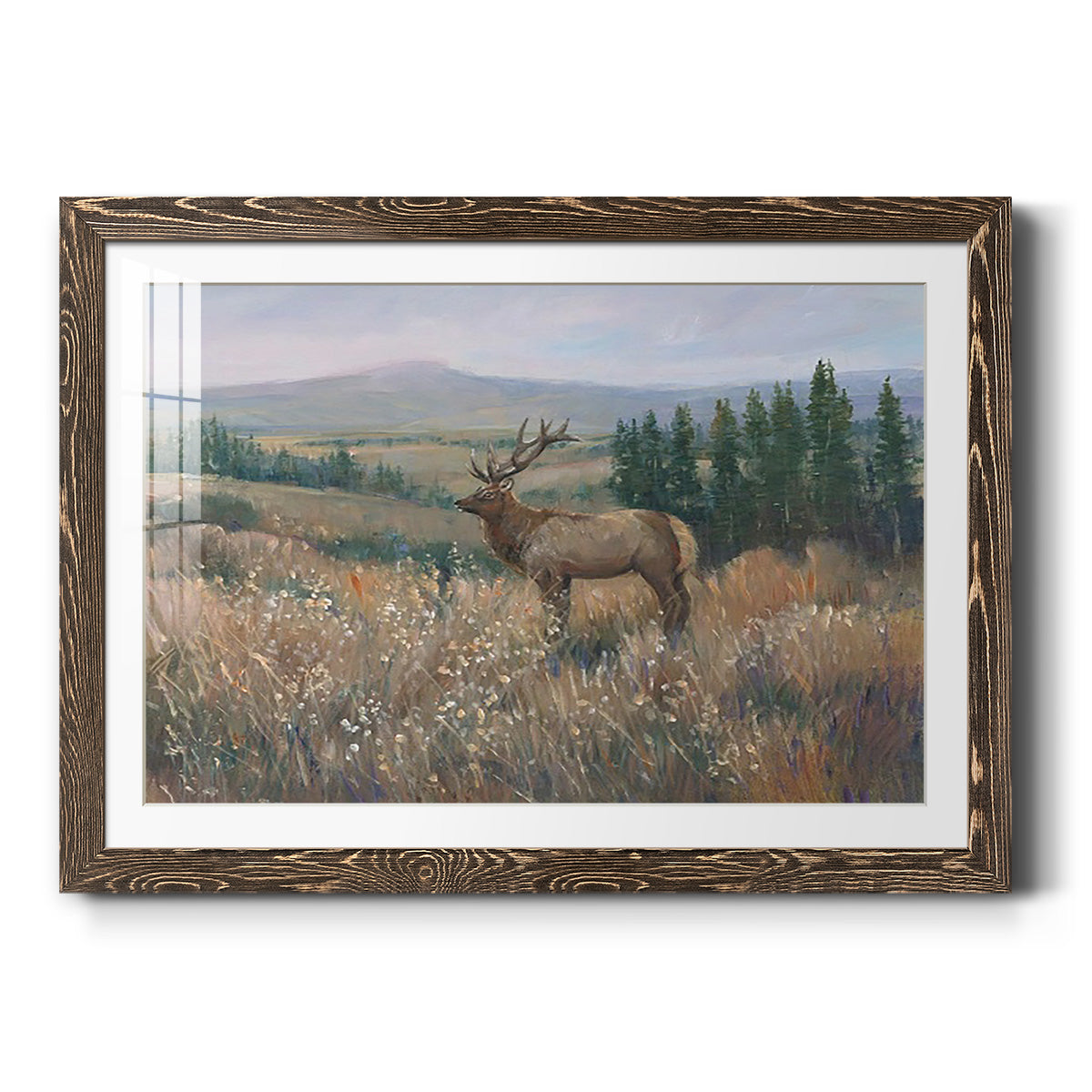 Western Wildlife II-Premium Framed Print - Ready to Hang