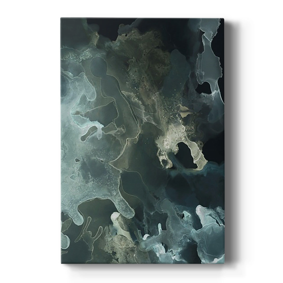 Gilded Spector I - Canvas Art Print