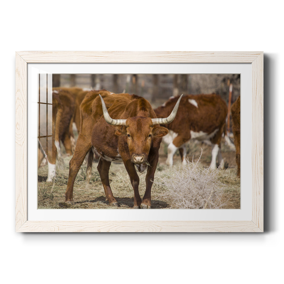 Celebrate-Premium Framed Print - Ready to Hang