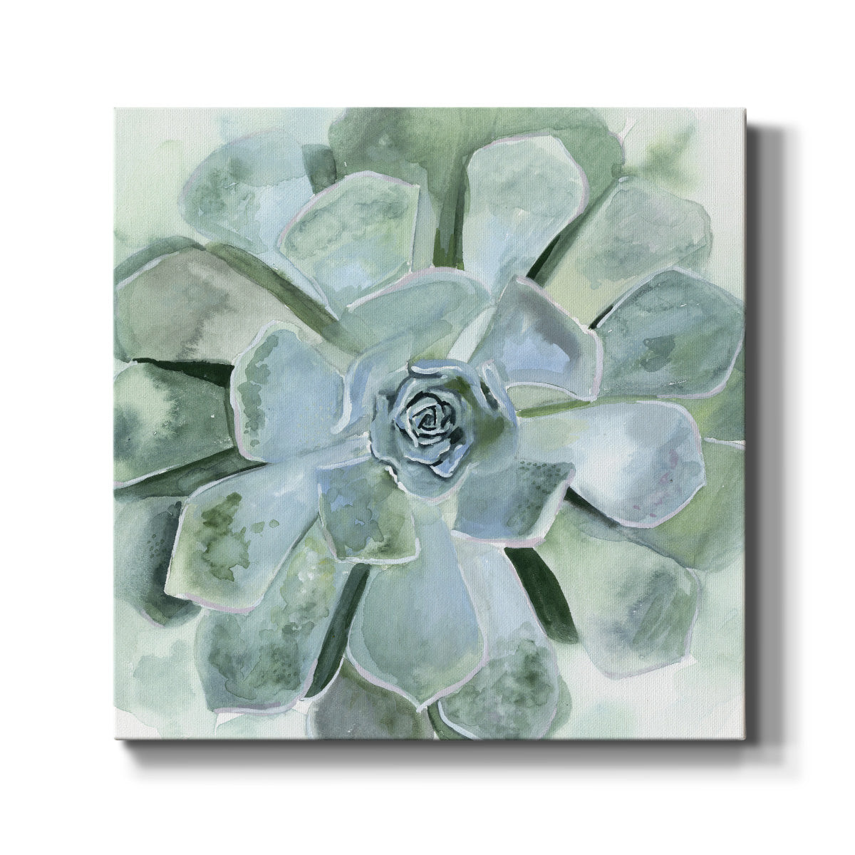 Verdant Succulent III - Canvas Art Print