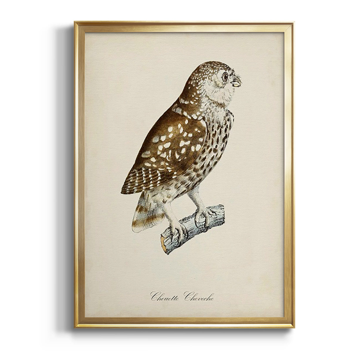 French Owls I Premium Framed Print - Ready to Hang