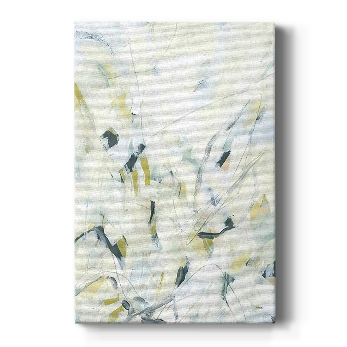 Ice Scribe I - Canvas Art Print