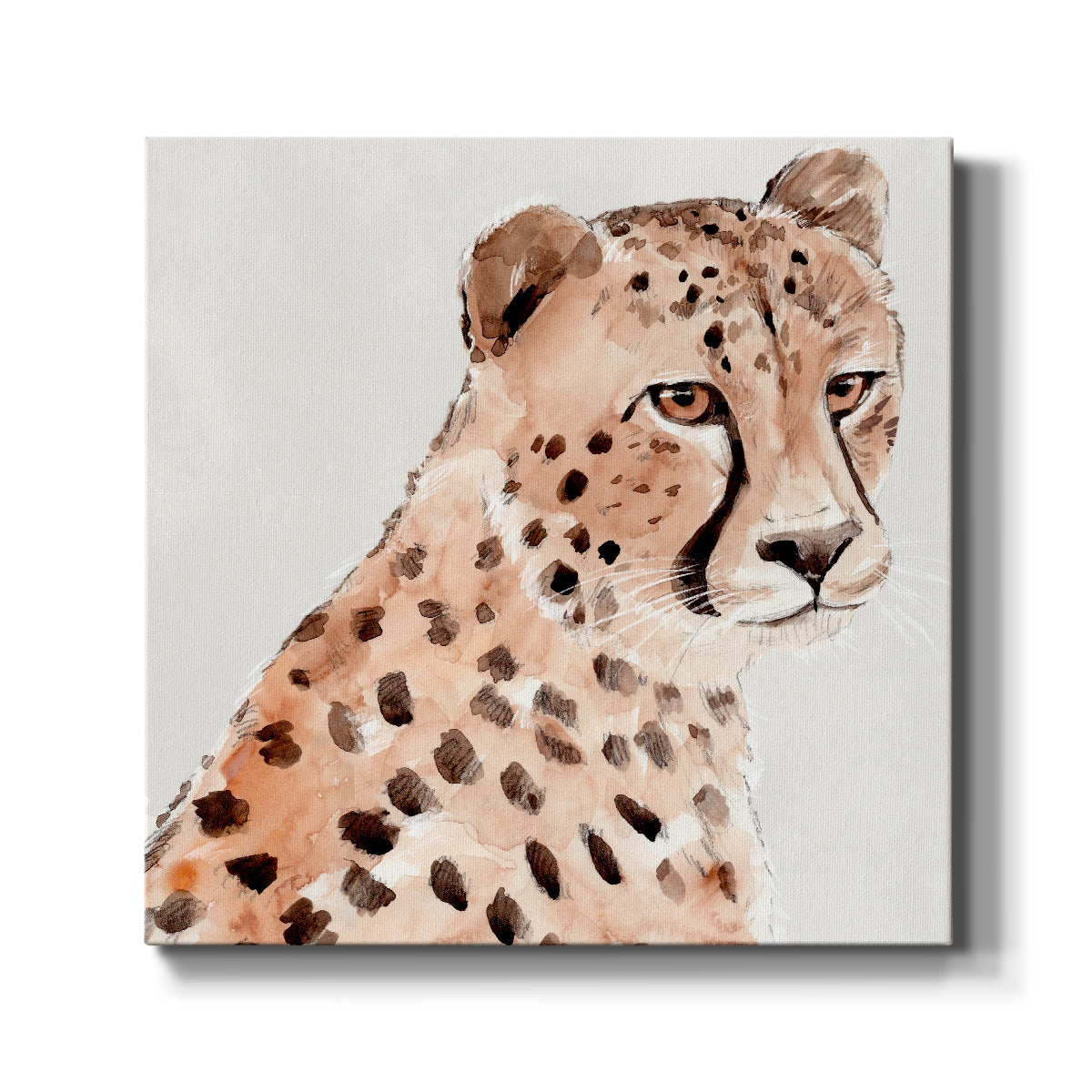 Saharan Cheetah II-Premium Gallery Wrapped Canvas - Ready to Hang