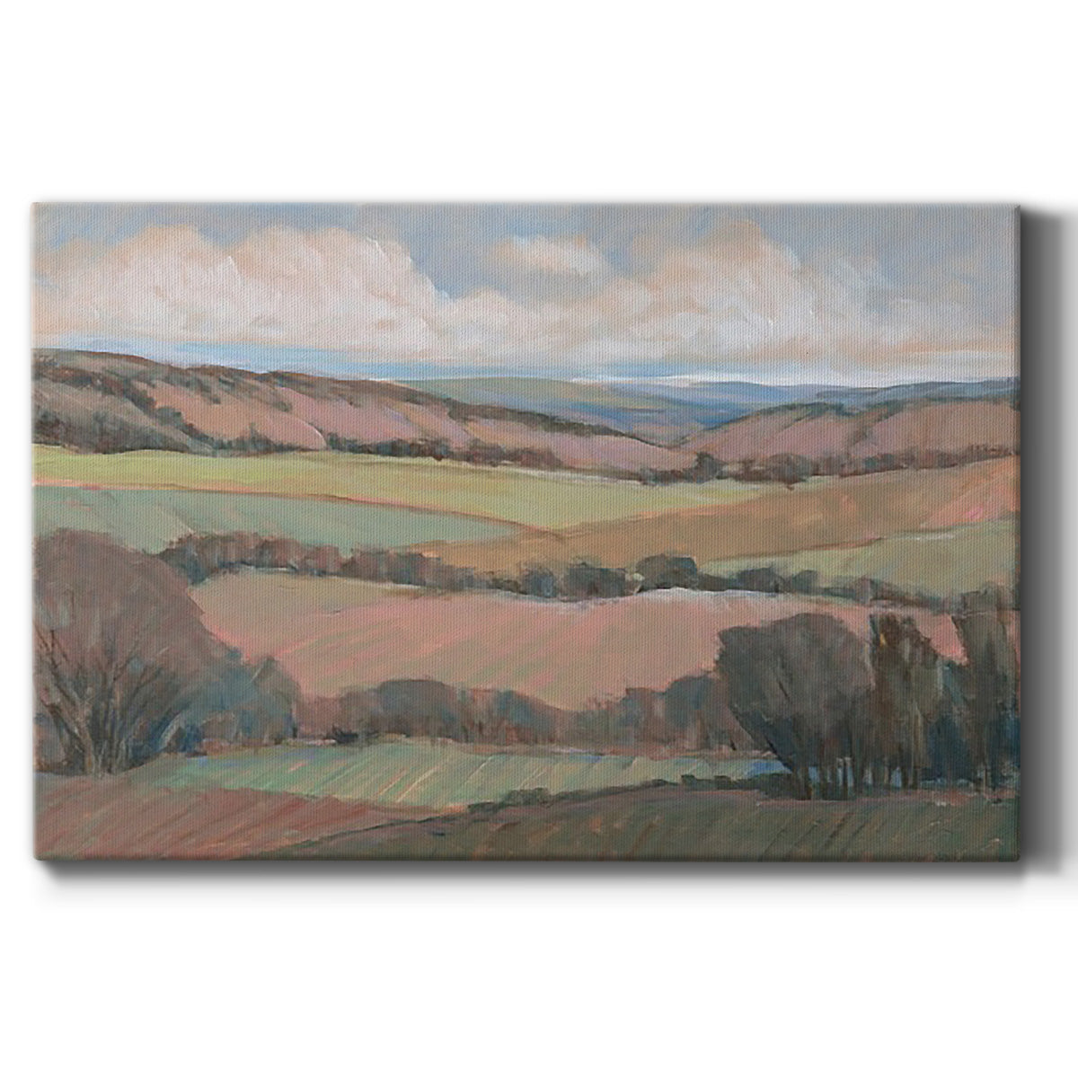 Hilly Countryside II - Canvas Art Print
