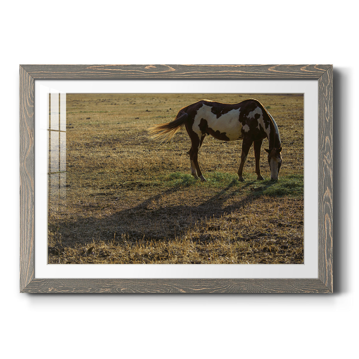 Long Shadow-Premium Framed Print - Ready to Hang