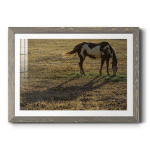 Long Shadow-Premium Framed Print - Ready to Hang