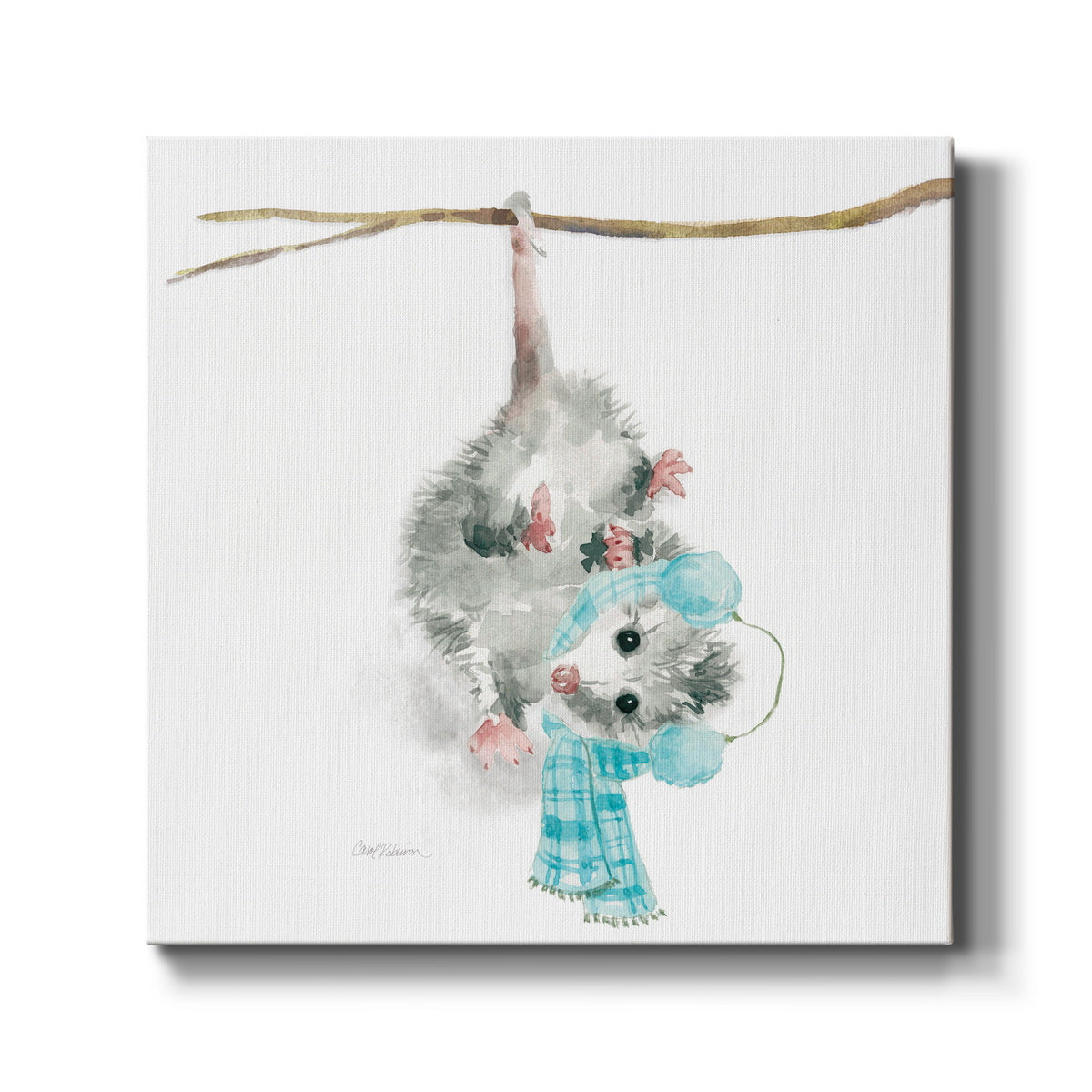 Christmas Critter Possum - Canvas Art Print