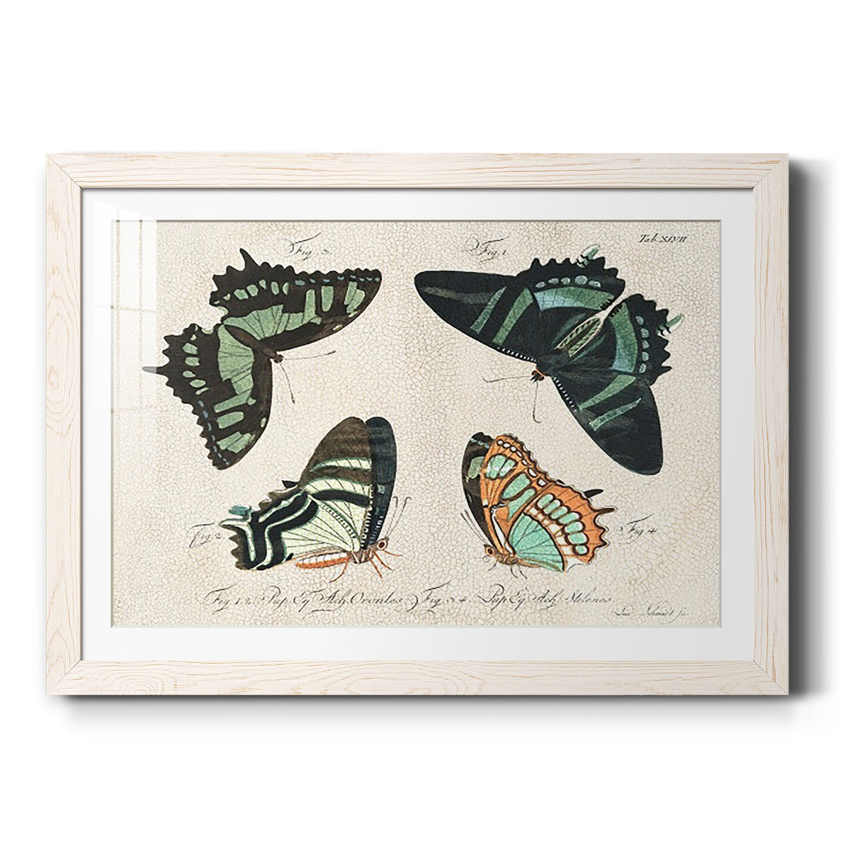 Celebrate-Premium Framed Print - Ready to Hang