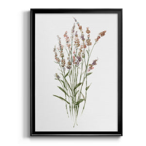 Dainty Botanical II Premium Framed Print - Ready to Hang