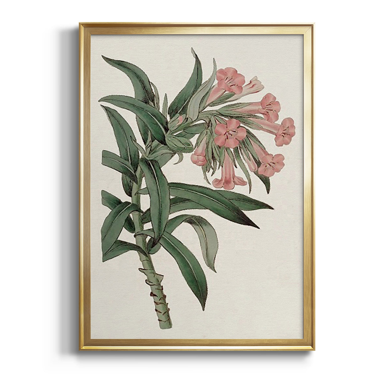 Sepia Botanical Journal I - Modern Framed Canvas Print