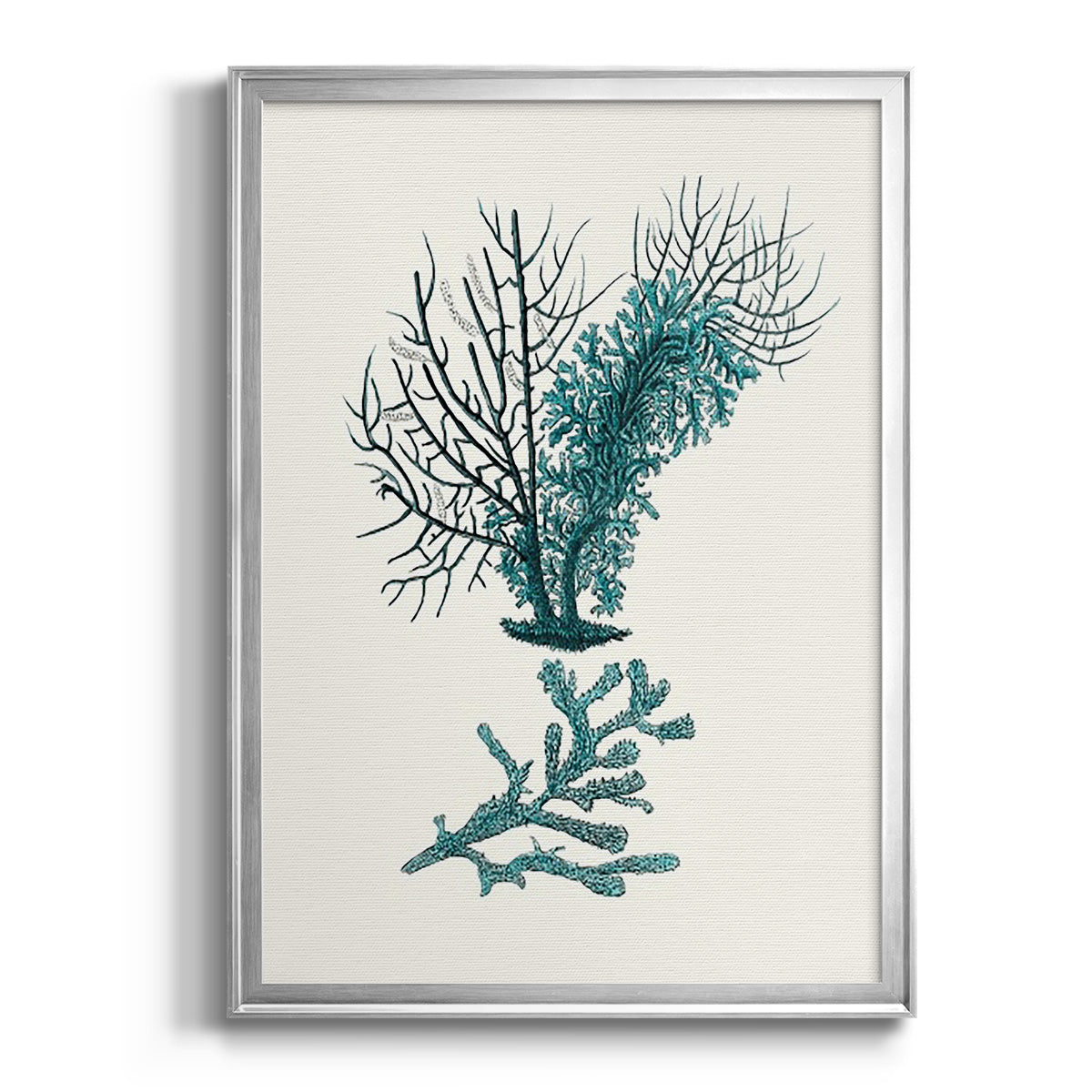 Antique Coastal Coral VI Premium Framed Print - Ready to Hang