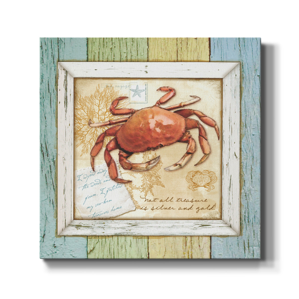 Sea Treasures VIII-Premium Gallery Wrapped Canvas - Ready to Hang